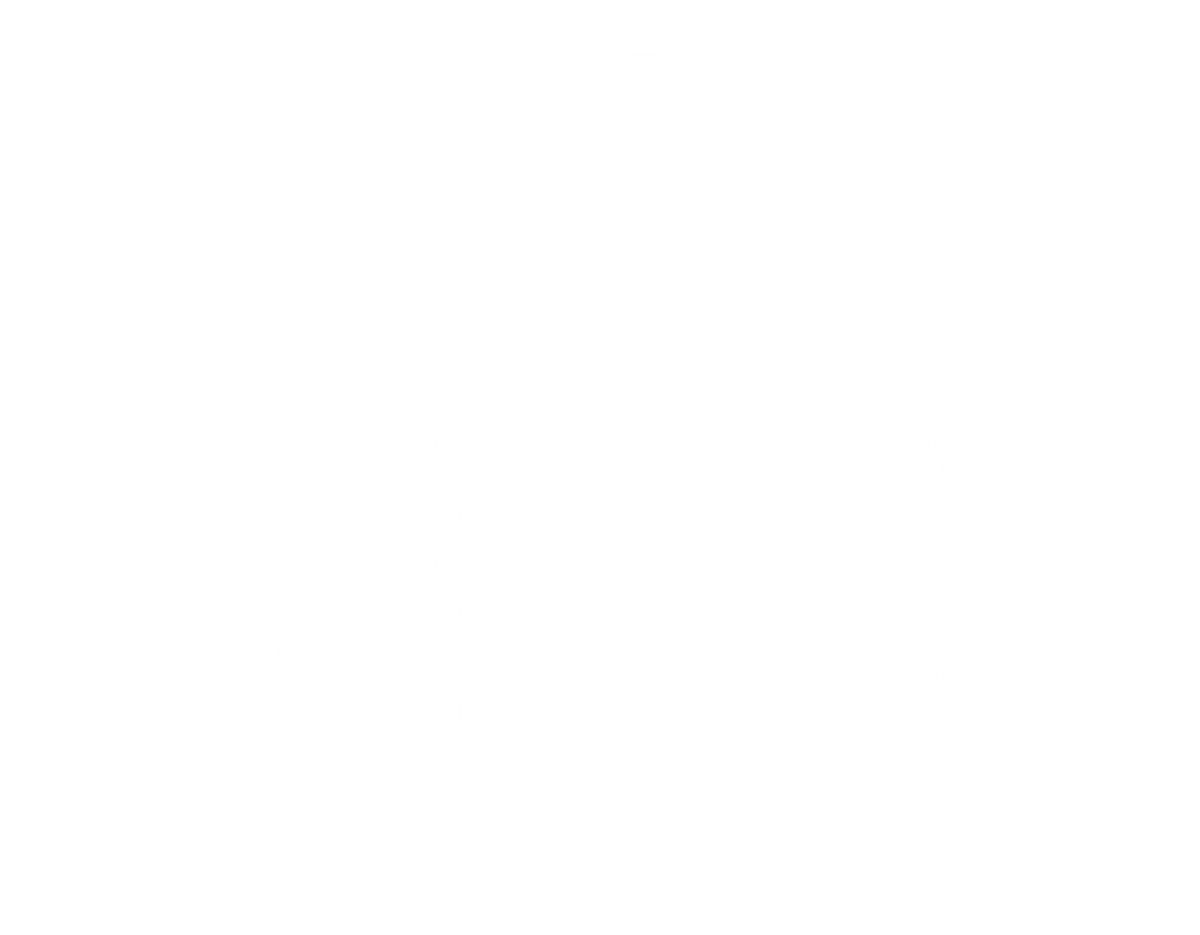 Che un mate