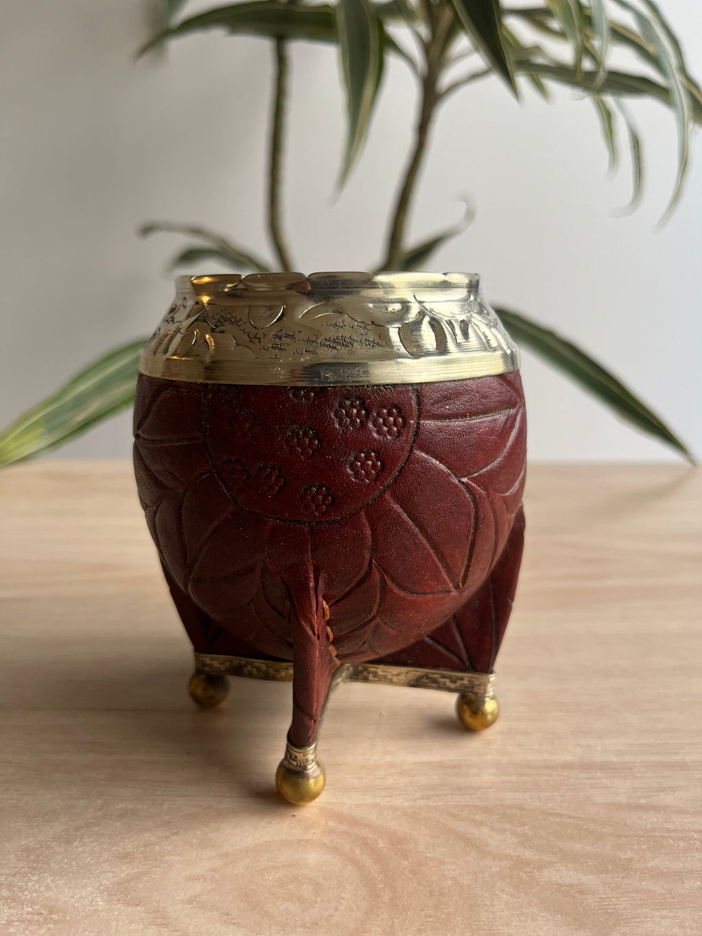 mate yerba mate guatemala